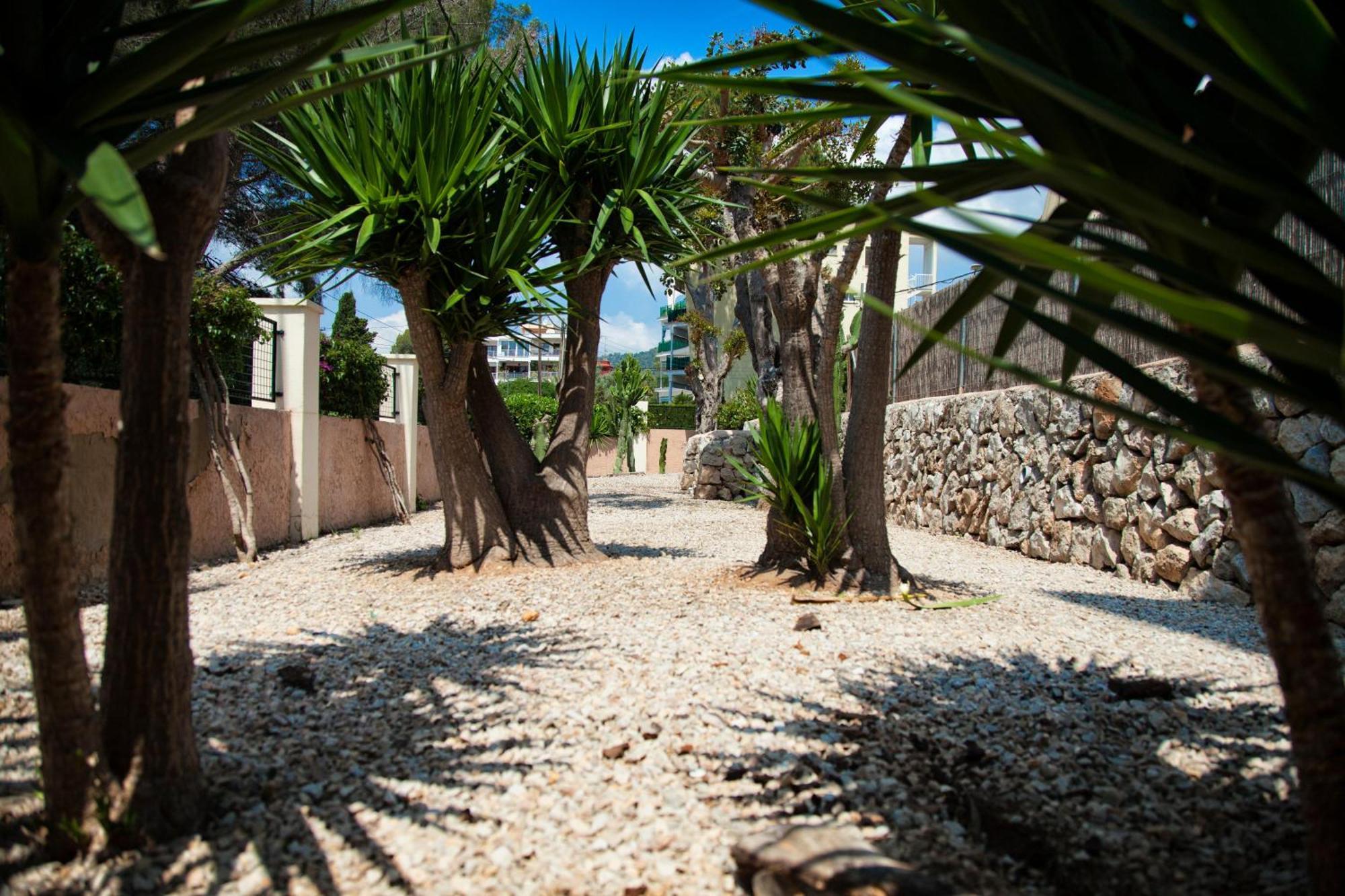 Palmanova Naika Studios & Apartments מראה חיצוני תמונה